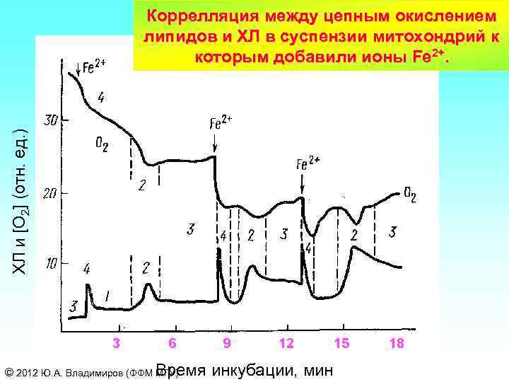 ХЛ и [O 2] (отн. ед. ) Коррелляция между цепным окислением липидов и ХЛ