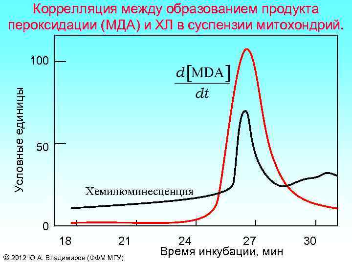 Коррелляция между образованием продукта пероксидации (МДА) и ХЛ в суспензии митохондрий. Условные единицы 100