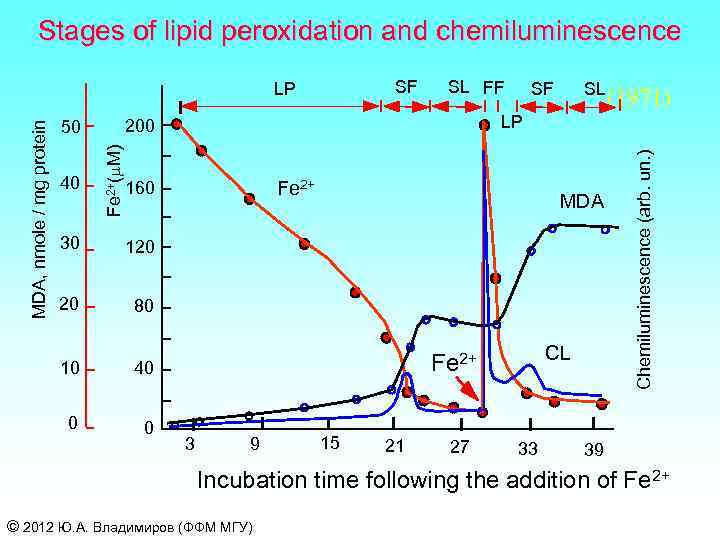 Stages of lipid peroxidation and chemiluminescence SF Fe 2+ MDA 120 20 SL 80