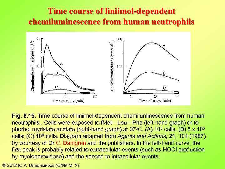 Time course of liniimol-dependent chemiluminescence from human neutrophils Fig. 6. 15. Time course of