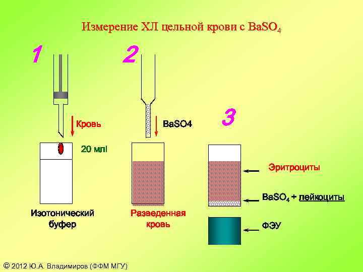 Измерение ХЛ цельной крови с Ba. SO 4 1 2 Кровь Ba. SO 4