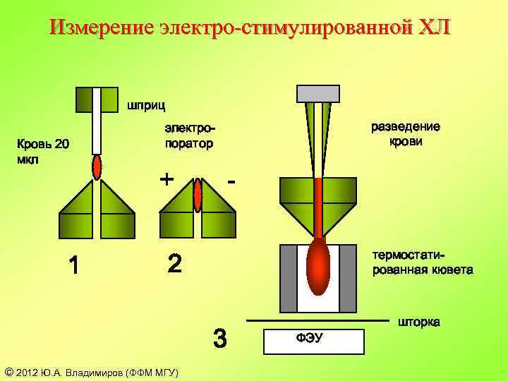 Измерение электро-стимулированной ХЛ шприц Кровь 20 мкл 1 разведение крови электропоратор + термостатированная кювета