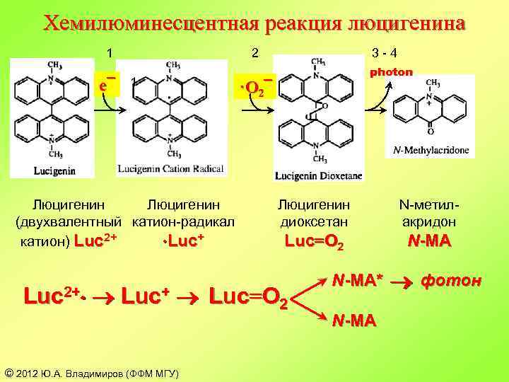 Катион радикал