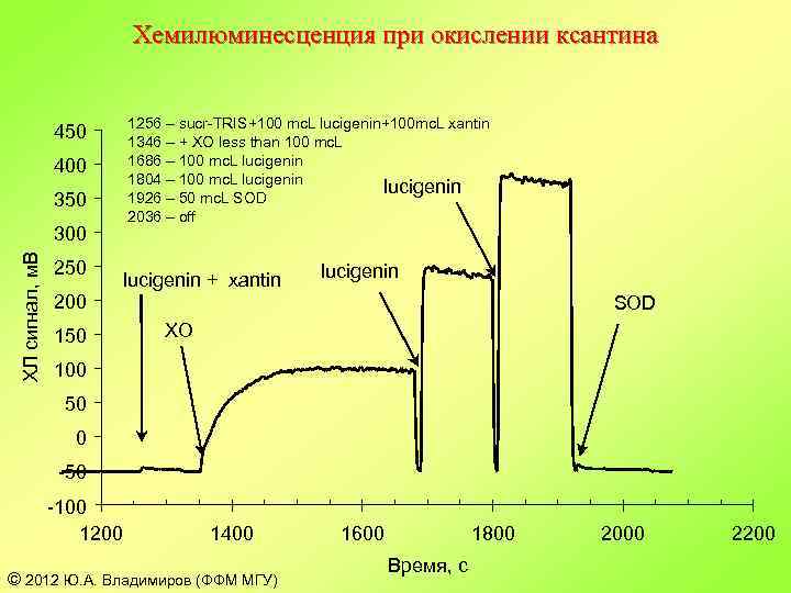 Хемилюминесценция при окислении ксантина 1256 – sucr-TRIS+100 mc. L lucigenin+100 mc. L xantin 1346