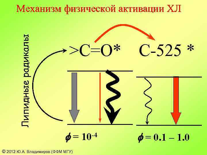 Физические механизмы. Физическая активация. Образование активации радикал механизм. Химическая активация. Звукохимическая реакция.