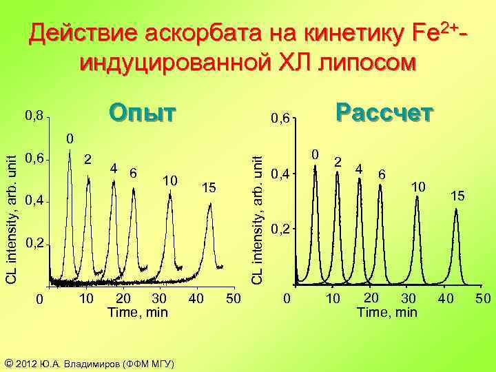 Действие аскорбата на кинетику Fe 2+индуцированной ХЛ липосом Опыт 0, 8 Рассчет 0, 6