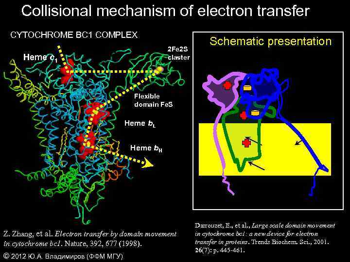 Collisional mechanism of electron transfer CYTOCHROME BC 1 COMPLEX 2 Fe 2 S claster