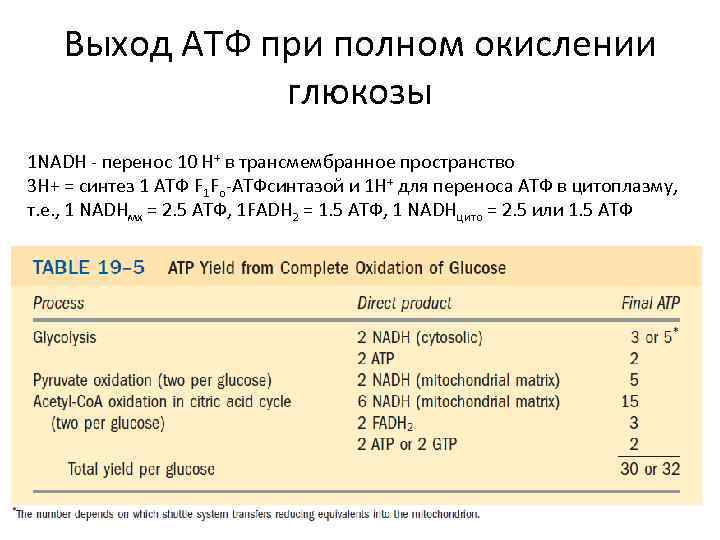 Атф в кпп ваз