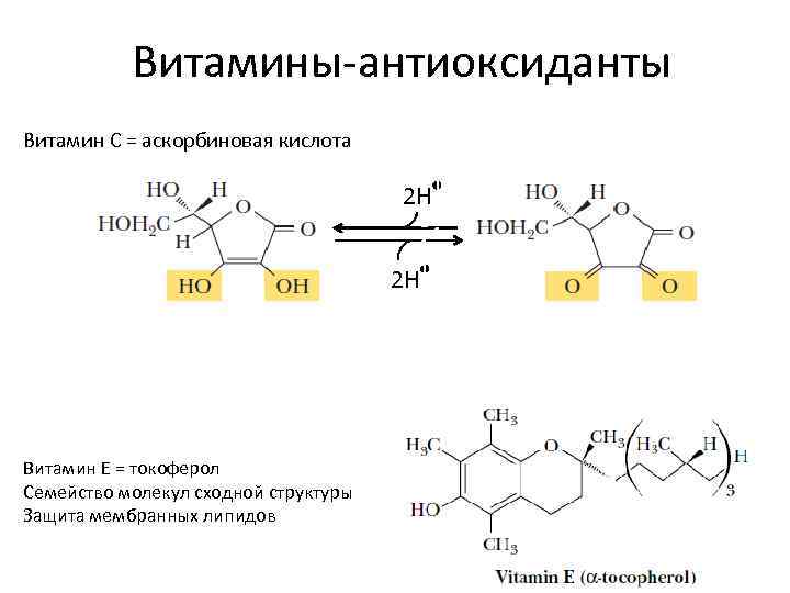 Витамин е схема. Механизм антиоксидантного действия витамина с. Витамин е антиоксидант биохимия. Токоферол реакции. Механизм антиоксидантного действия биохимия.