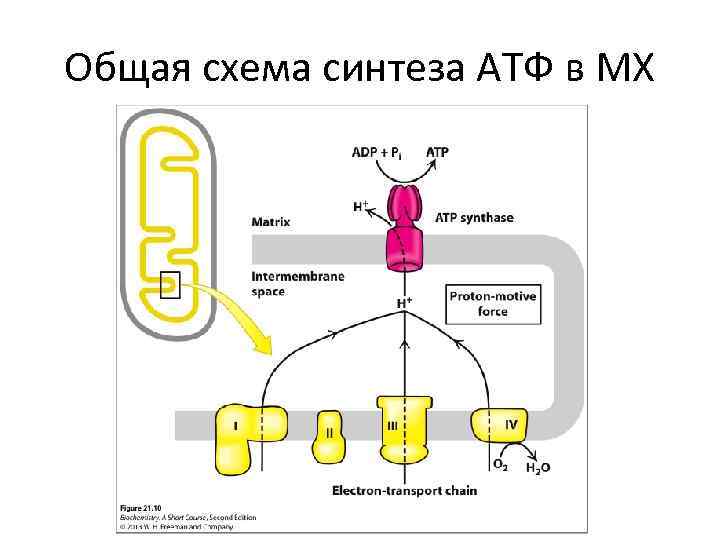 Атф в кпп ваз