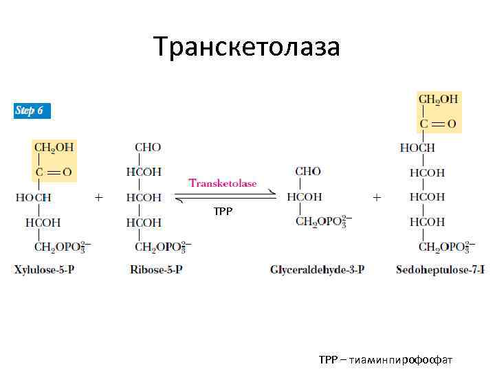 Транскетолаза TPP – тиаминпирофосфат 