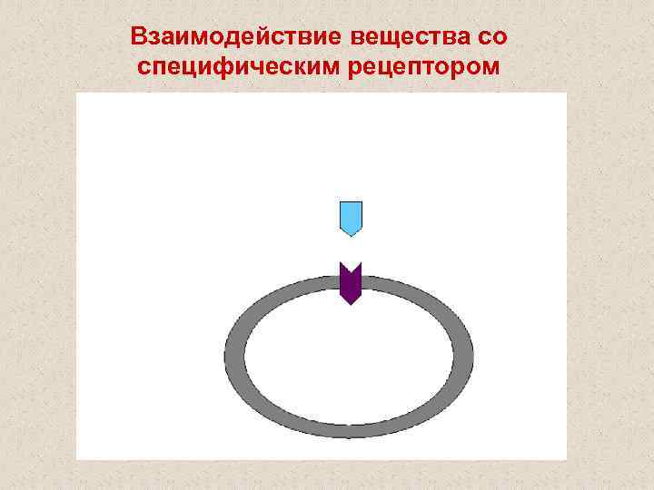 Взаимодействие вещества со специфическим рецептором 