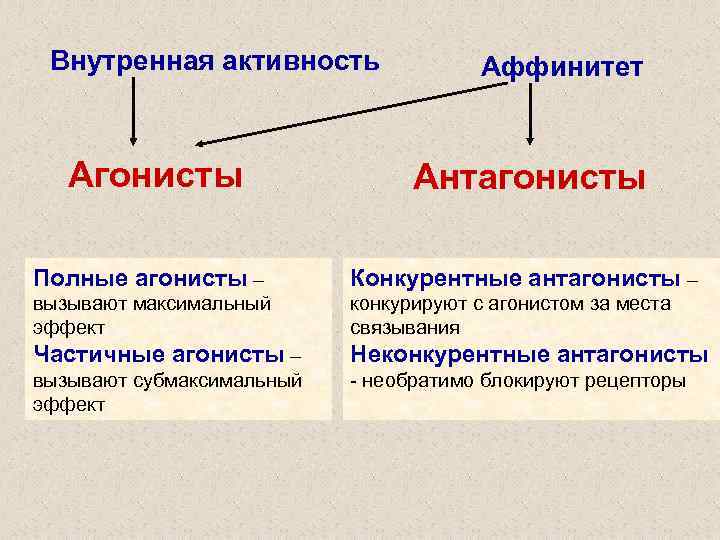 Внутренняя активность. Агонист и антагонист в фармакологии. Агонисты и антагонисты рецепторов. Полные и частичные агонисты. Агонисты и антагонисты рецепторов внутренняя активность.