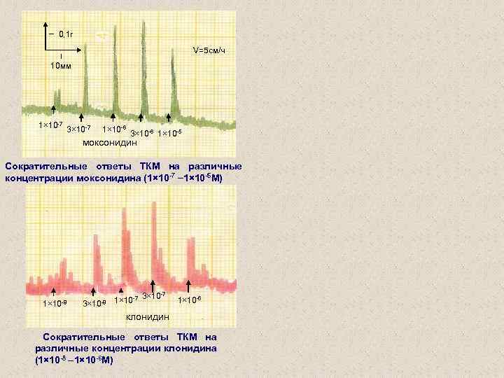0, 1 г V=5 см/ч 10 мм 1× 10 -7 3× 10 -7 1×
