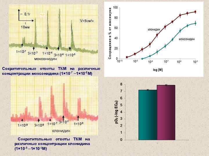 0, 1 г V=5 см/ч 10 мм 1× 10 -7 3× 10 -7 1×