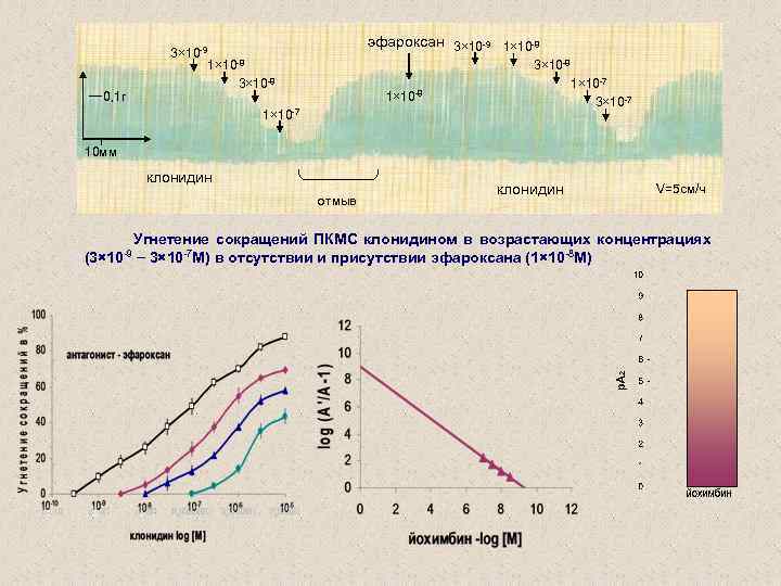 3× 10 -9 0, 1 г эфароксан 3× 10 -9 1× 10 -8 3×