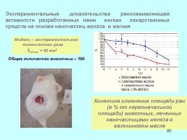 Экспериментальные доказательства ранозаживляющей активности разработанных нами мягких лекарственных средств на основе наночастиц железа и