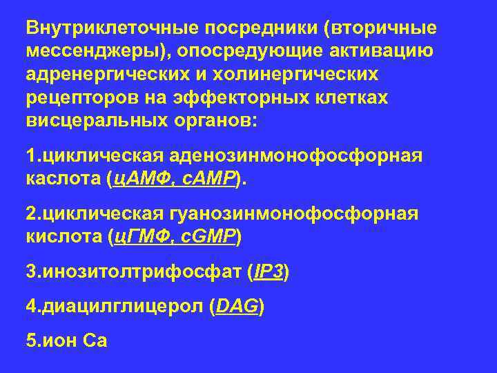 Внутриклеточные посредники (вторичные мессенджеры), опосредующие активацию адренергических и холинергических рецепторов на эффекторных клетках висцеральных