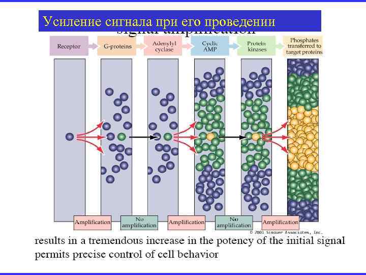 Усиление сигнала при его проведении 