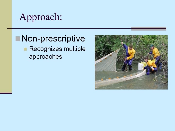 Approach: n Non-prescriptive n Recognizes multiple approaches 