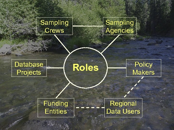 Sampling Crews Database Projects Sampling Agencies Roles Funding Entities Policy Makers Regional Data Users
