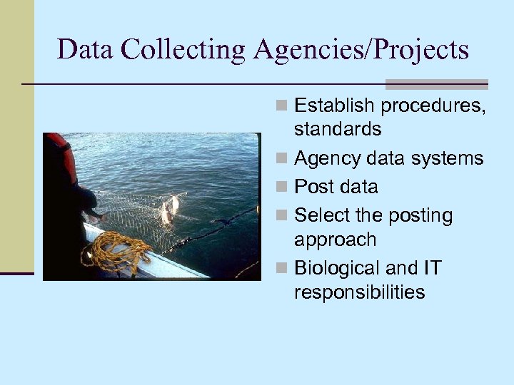Data Collecting Agencies/Projects n Establish procedures, standards n Agency data systems n Post data