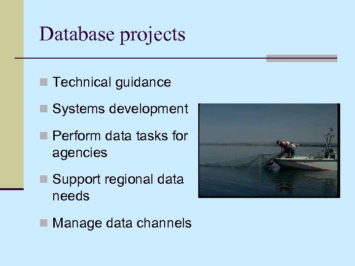Database projects n Technical guidance n Systems development n Perform data tasks for agencies