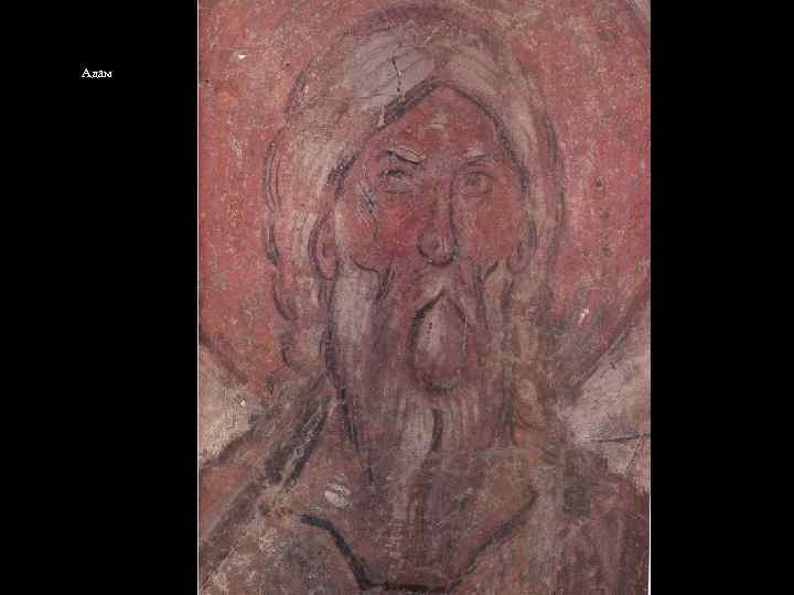Адам 