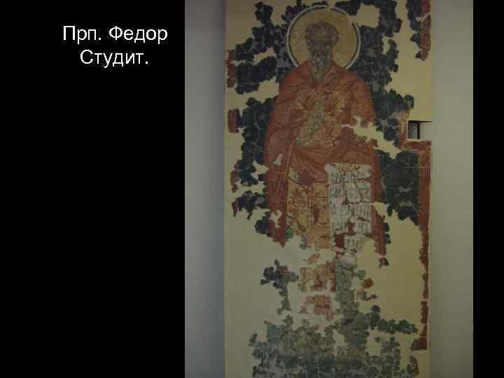Прп. Федор Студит. 
