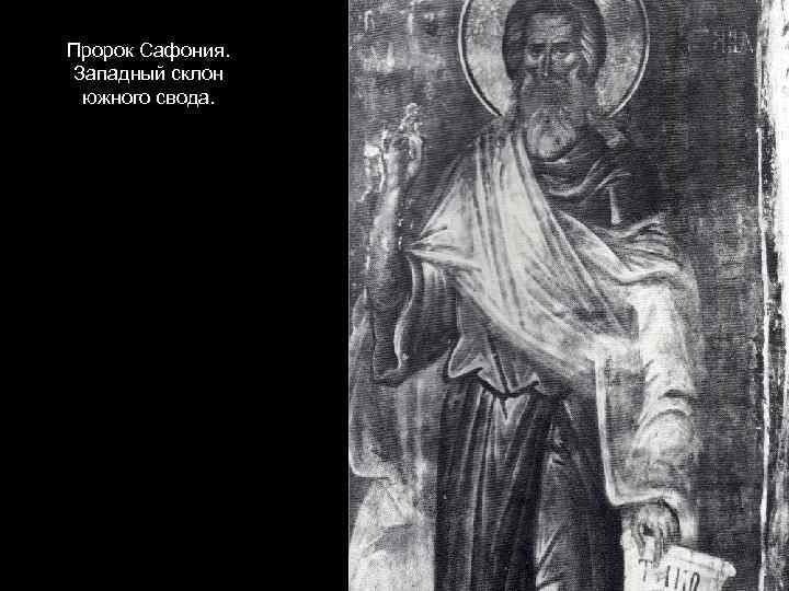 Пророк Сафония. Западный склон южного свода. 