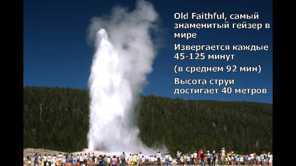 Old Faithful, самый знаменитый гейзер в мире Извергается каждые 45 -125 минут (в среднем