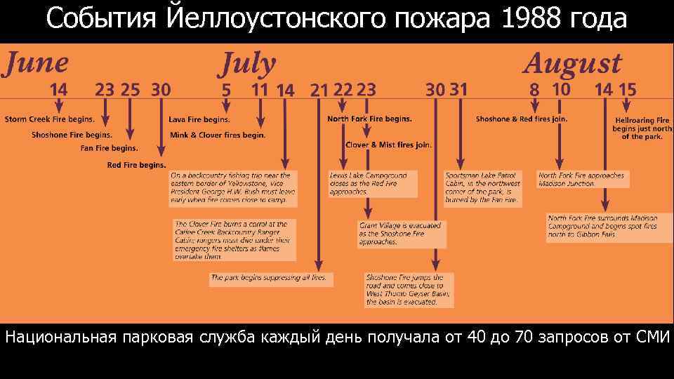 События Йеллоустонского пожара 1988 года Национальная парковая служба каждый день получала от 40 до