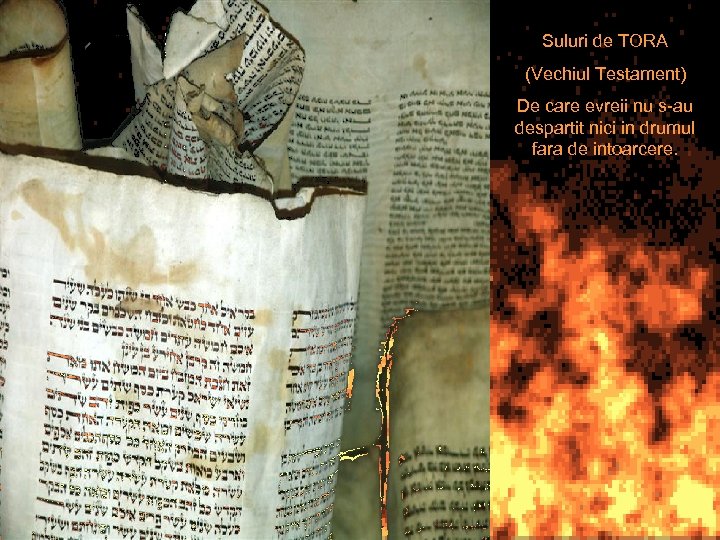 Suluri de TORA (Vechiul Testament) De care evreii nu s-au despartit nici in drumul