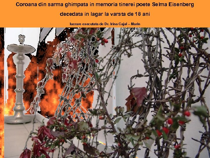 Coroana din sarma ghimpata in memoria tinerei poete Selma Eisenberg decedata in lagar la