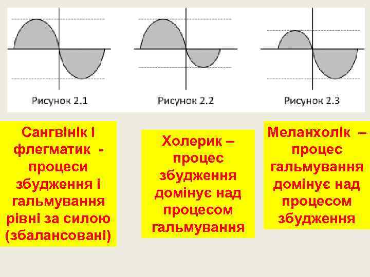 Сангвінік і флегматик процеси збудження і гальмування рівні за силою (збалансовані) Холерик – процес