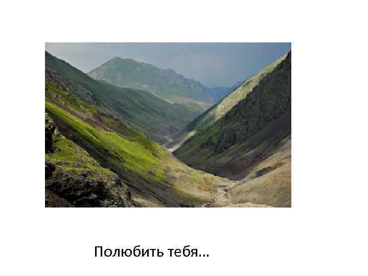  Полюбить тебя… 