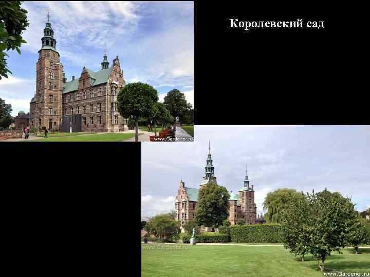 Королевский сад 