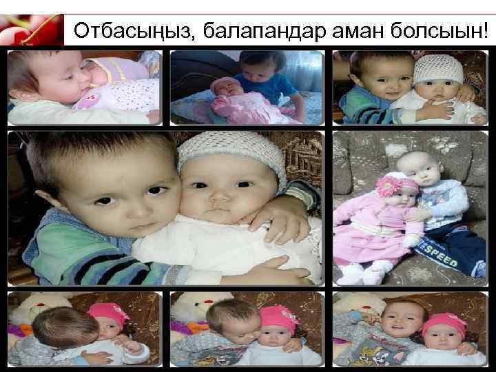 Отбасыңыз, балапандар аман болсыын! 