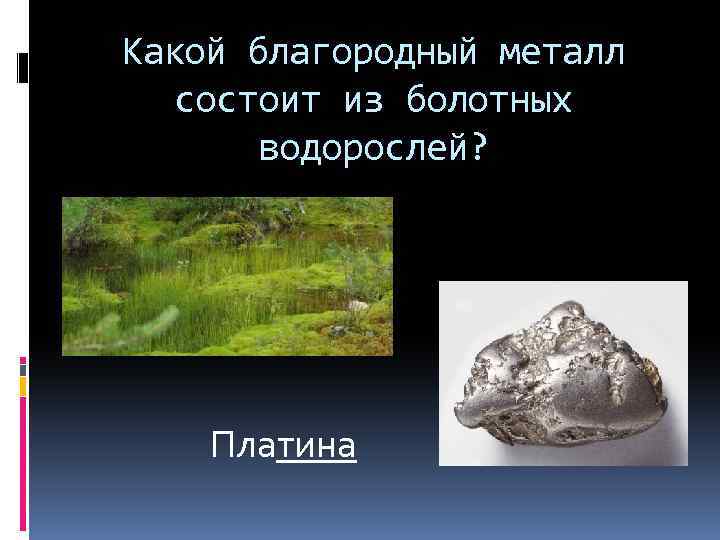 Какой благородный металл состоит из болотных водорослей? Платина 