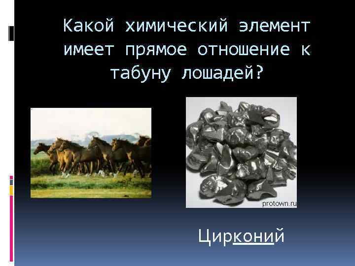 Какой химический элемент имеет прямое отношение к табуну лошадей? Цирконий 