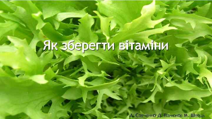 Як зберегти вітаміни А. Савченко Д. Панюков М. Швець 