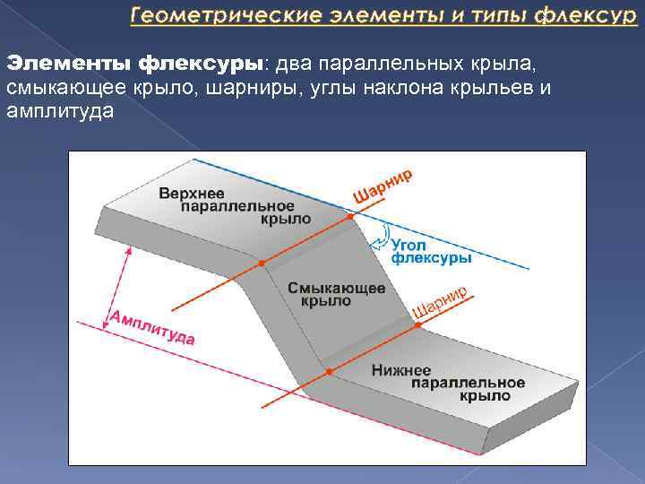 Геометрические элементы и типы флексур Элементы флексуры: два параллельных крыла, смыкающее крыло, шарниры, углы