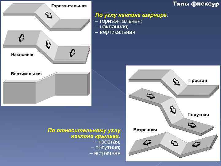 Типы флексур По углу наклона шарнира: – горизонтальная; – наклонная; – вертикальная По относительному