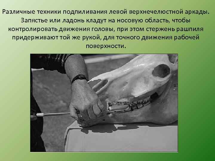 Различные техники подпиливания левой верхнечелюстной аркады. Запястье или ладонь кладут на носовую область, чтобы