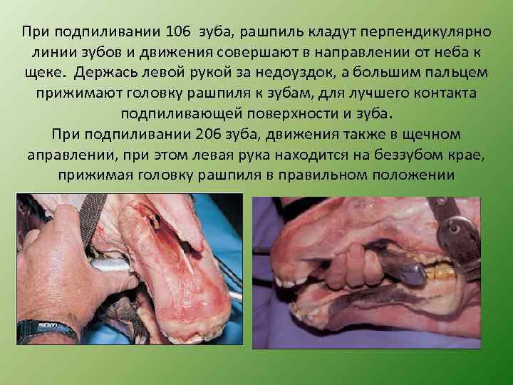 При подпиливании 106 зуба, рашпиль кладут перпендикулярно линии зубов и движения совершают в направлении