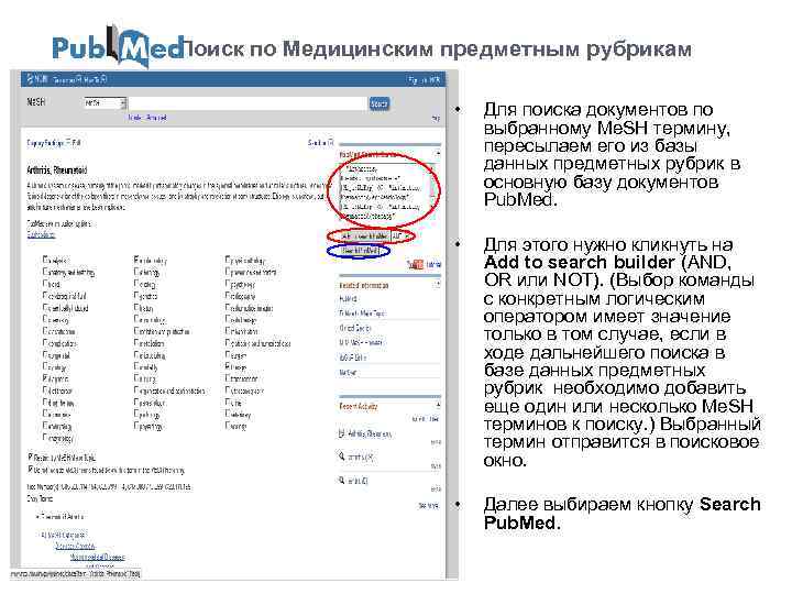  Поиск по Медицинским предметным рубрикам • Для поиска документов по выбранному Ме. SH