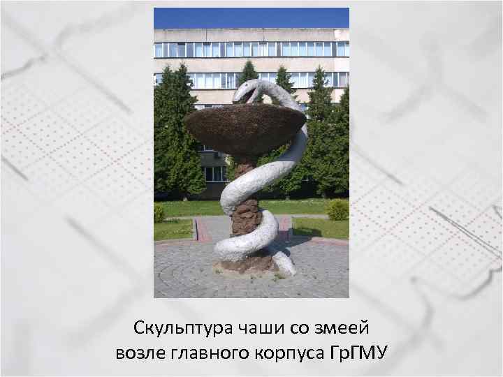 Скульптура чаши со змеей возле главного корпуса Гр. ГМУ 