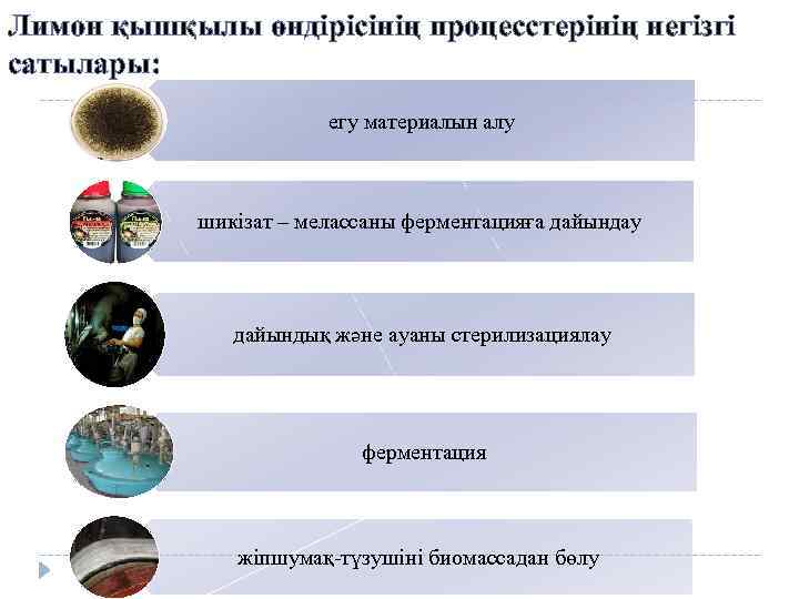 Лимон қышқылы өндірісінің процесстерінің негізгі сатылары: егу материалын алу шикізат – мелассаны ферментацияға дайындау
