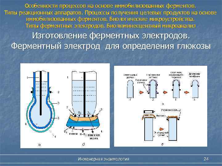 Особенности процессов на основе иммобилизованных ферментов. Типы реакционных аппаратов. Процессы получения целевых продуктов на