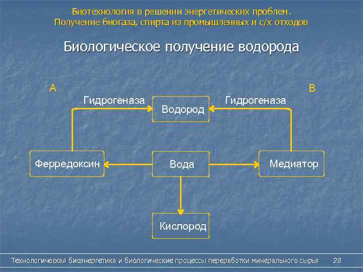 Биотехнология в решении энергетических проблем. Получение биогаза, спирта из промышленных и с/х отходов Биологическое